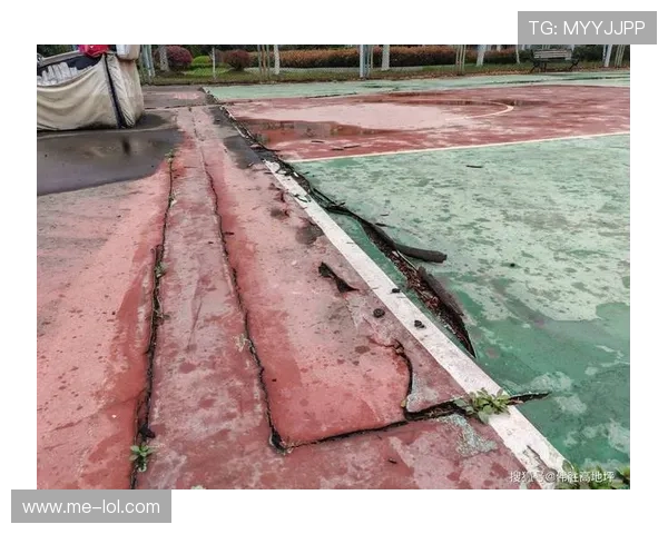 车范根签名足球鞋创新设计与性能分析助力球场表现